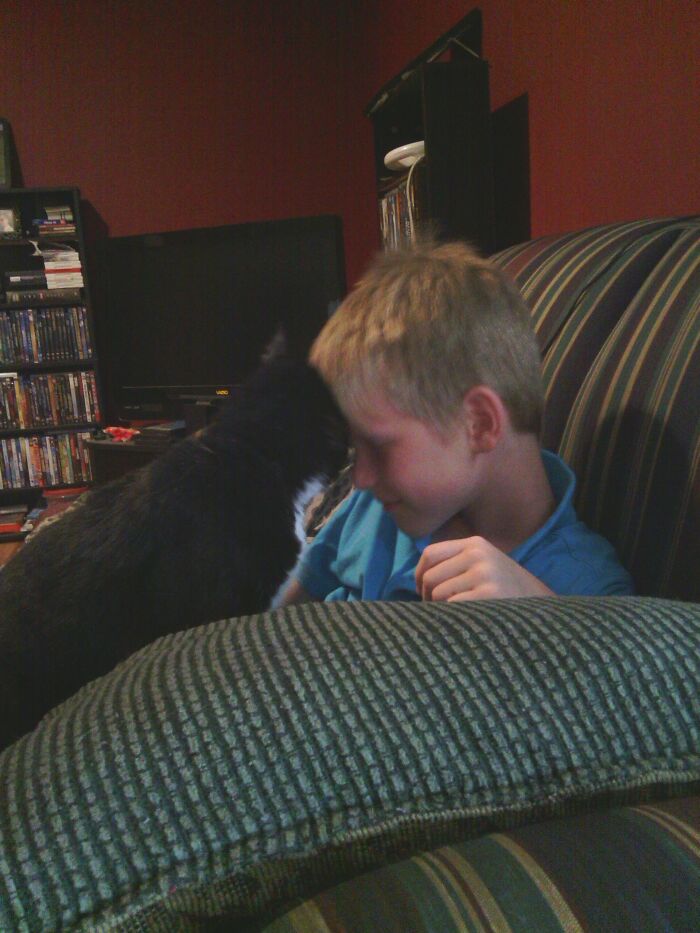 Frank Was The Cat That Everyone In The Family Called “The Devil.” Rip Frank-Frank. Best. Cat. Ever!