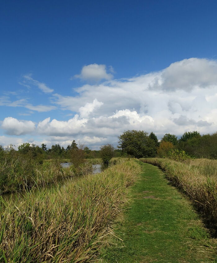 Path At Reifel Bird Sanctuary In Delta-Vancouver