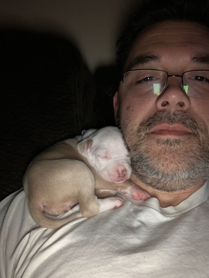 Pit Bull&rsquo;s Adorable Naptime Ritual That Started At 3 Weeks Old Continues To This Day