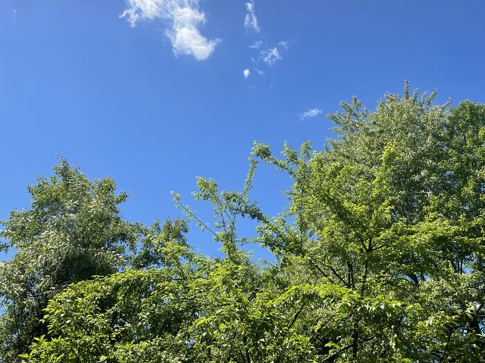 From My Backyard, The Contrast Of The Cloud Against The Sky Makes Me So Happy