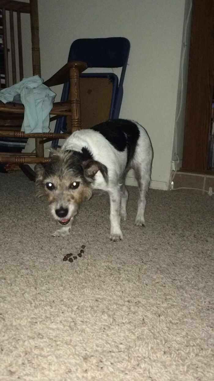 I Think Lucy Was Just "Hangry"