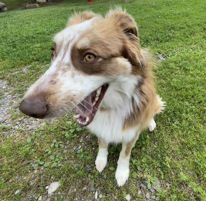 She Thinks Shes So Funny