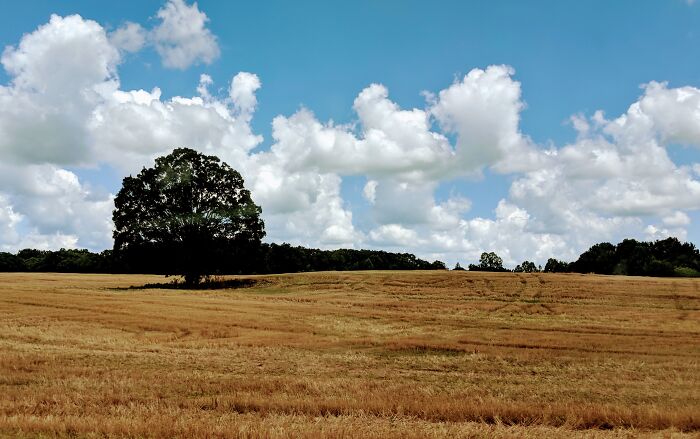 I Took Photos Of The Amazing Countryside (22 Pics)