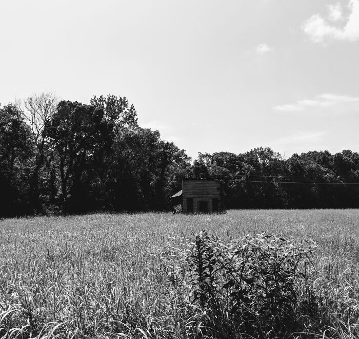 I Took Photos Of The Amazing Countryside (22 Pics)