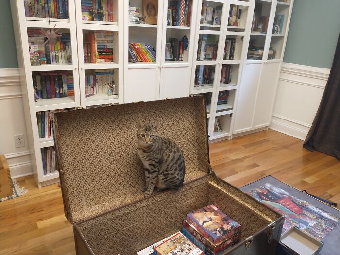 We Are Book People, Not Dining Room People Haha