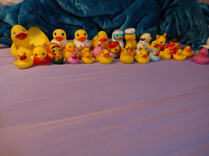 Ducks!! All From Different Variety Packs! There Have Never Been Two From The Same Store/Place/Person!!