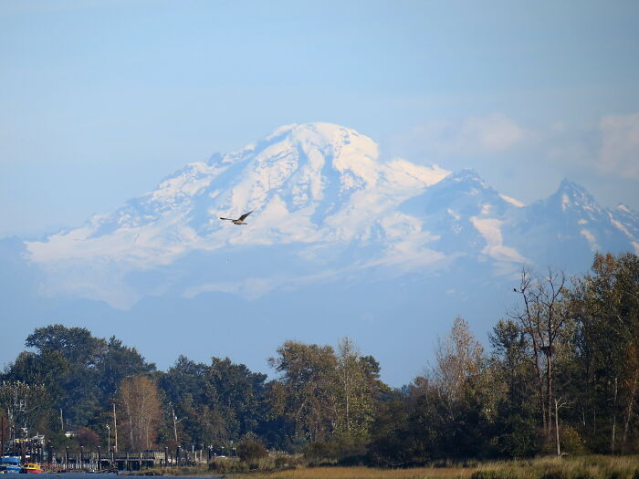 Mount Rainier-The View From The Canadian Side