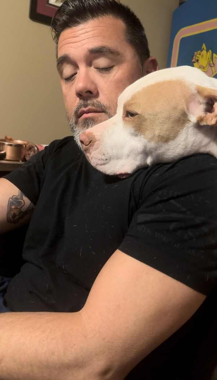 Pit Bull&rsquo;s Adorable Naptime Ritual That Started At 3 Weeks Old Continues To This Day