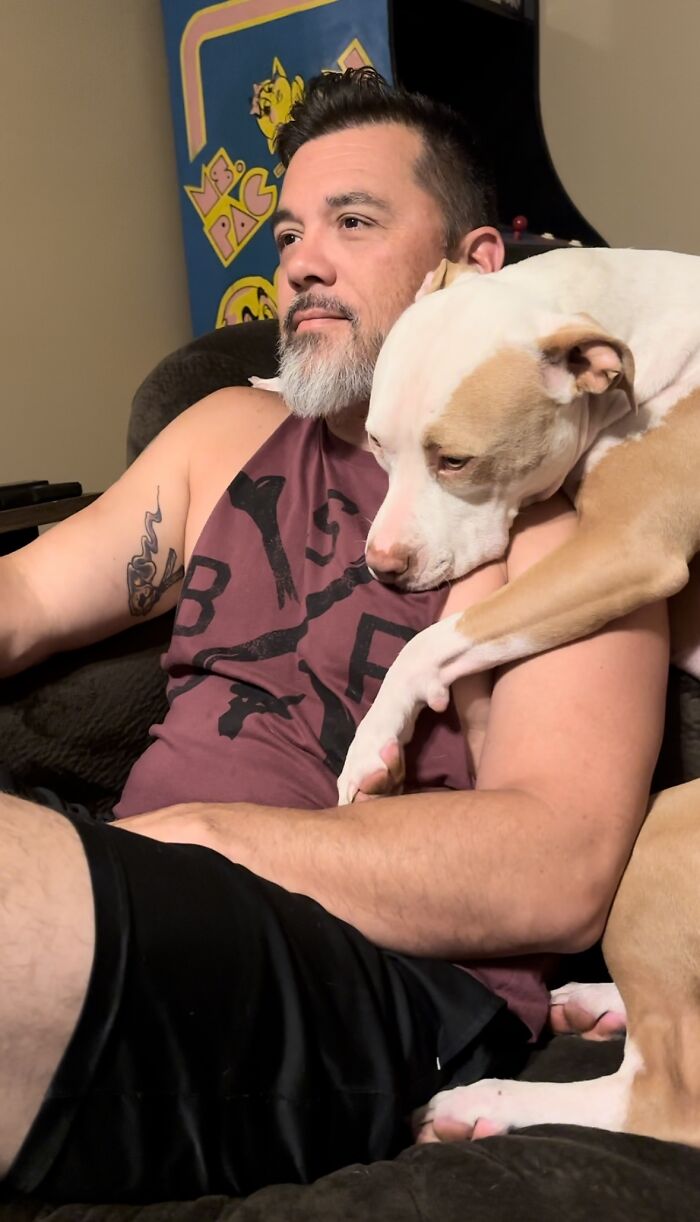 Pit Bull&rsquo;s Adorable Naptime Ritual That Started At 3 Weeks Old Continues To This Day