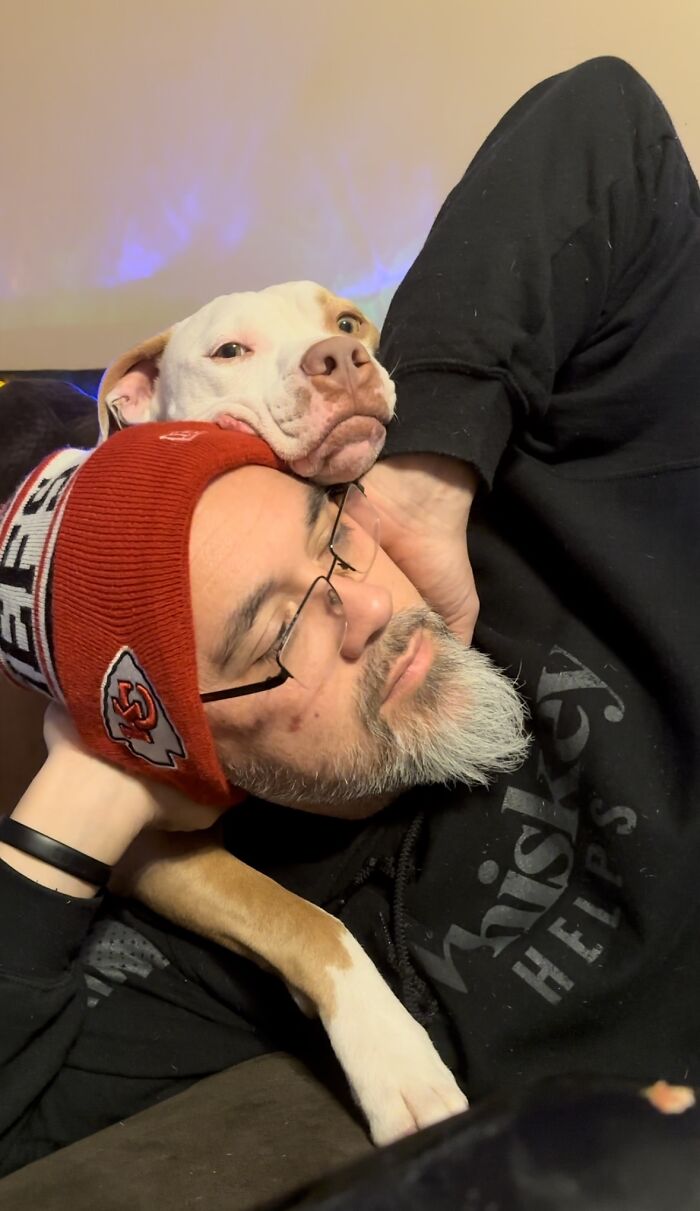 Pit Bull&rsquo;s Adorable Naptime Ritual That Started At 3 Weeks Old Continues To This Day