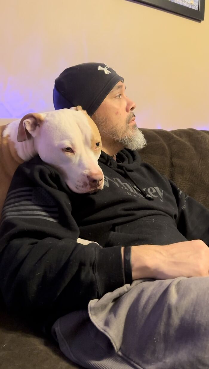 Pit Bull&rsquo;s Adorable Naptime Ritual That Started At 3 Weeks Old Continues To This Day