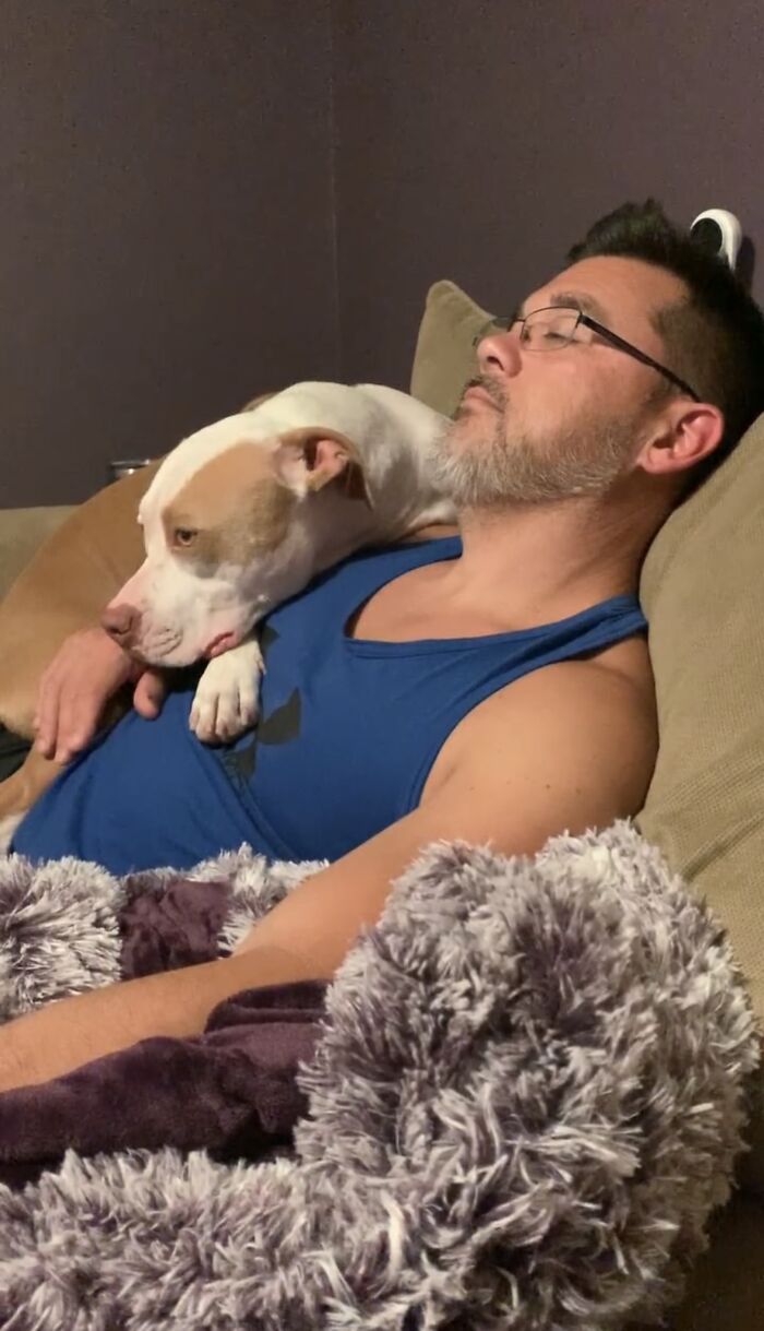 Pit Bull&rsquo;s Adorable Naptime Ritual That Started At 3 Weeks Old Continues To This Day
