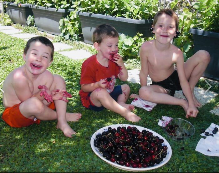 Summer Time Is Cherry Time!