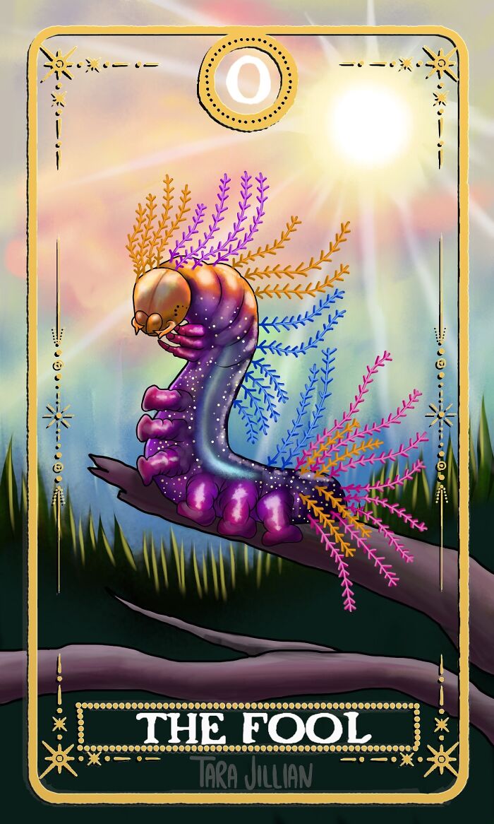 The Fool / Saturniidae Moth Larva