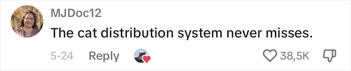 Determined Stray Comes To A Family On A Daily Basis Until They Adopt Him