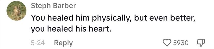 Determined Stray Comes To A Family On A Daily Basis Until They Adopt Him