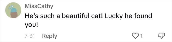 Determined Stray Comes To A Family On A Daily Basis Until They Adopt Him