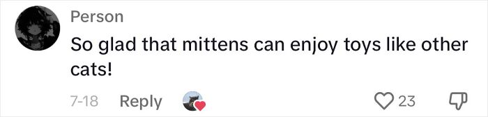 Determined Stray Comes To A Family On A Daily Basis Until They Adopt Him