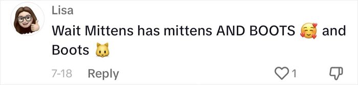 Determined Stray Comes To A Family On A Daily Basis Until They Adopt Him