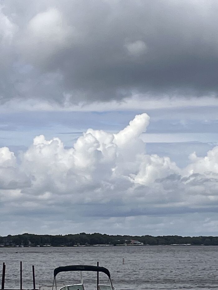 Get Your Head Out Of The Gutter… It Looks Like A Rolling Cannon