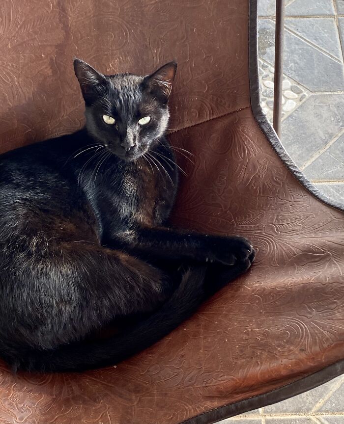 This Is Neo Basking In The Sun