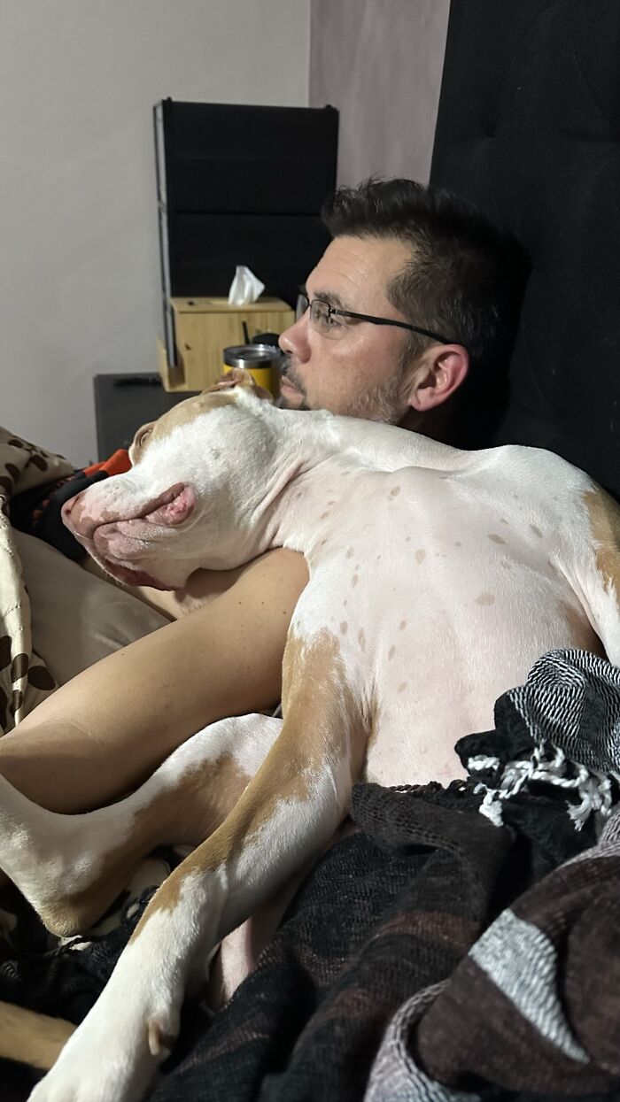 Pit Bull&rsquo;s Adorable Naptime Ritual That Started At 3 Weeks Old Continues To This Day