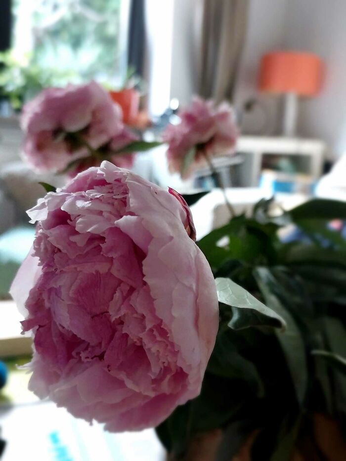 If Your Neighbor Is An Artist, Visit Them (10 Pics)