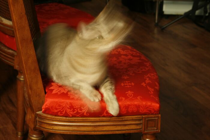 The Possession Of Ember 😱