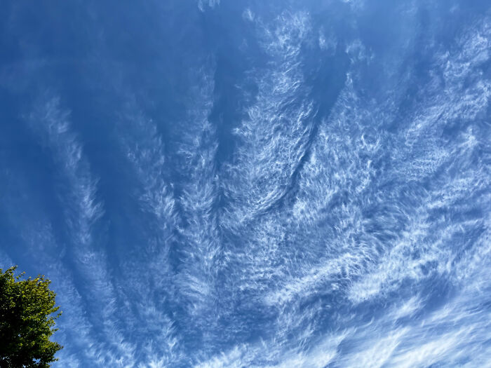 Delicate Lacy Clouds Over Marin