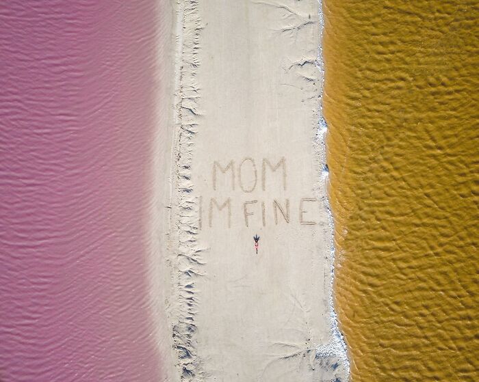 "Mom I'm Fine", The Instagram Account That Serves To Calm The Mother(New Pics)