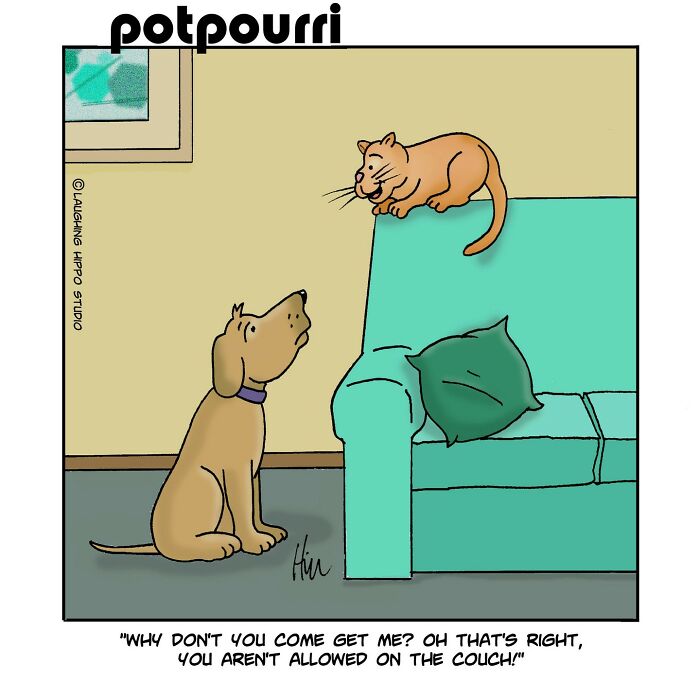 Humorous one-panel comic by Laughing Hippo Studio showing a dog and cat with a funny couch rule.