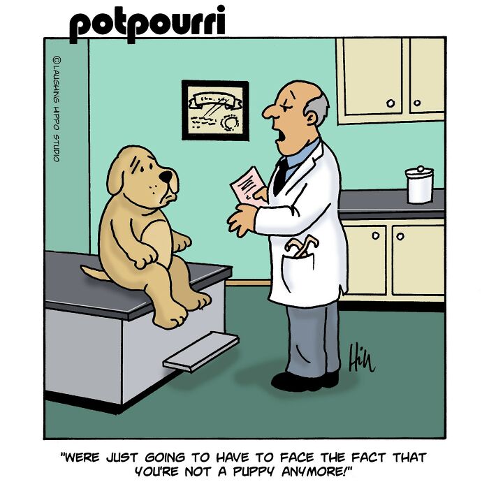 Humorous one-panel comic by Laughing Hippo Studio showing dog on exam table with vet delivering unexpected news.