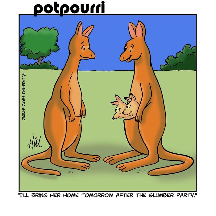 Humorous one-panel comic by Laughing Hippo Studio showing two kangaroos talking with joeys in their pouches.