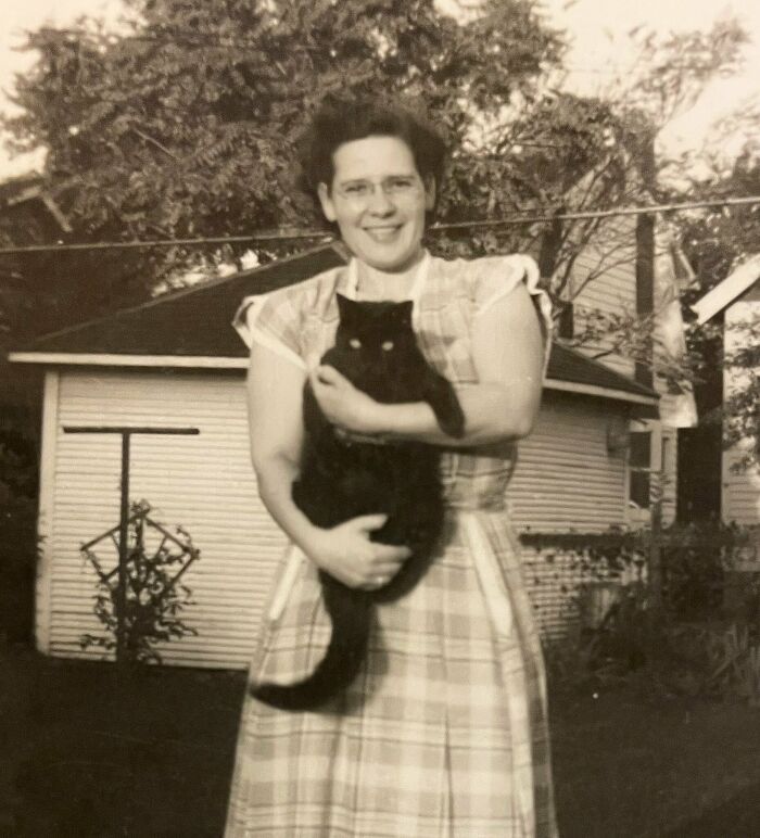 New Of The Best Photos Shared By This Twitter Account That Collects Historic Photographs Of Cats With Their Stories