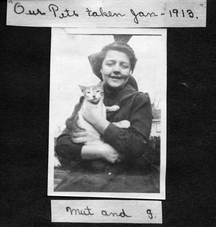 New Of The Best Photos Shared By This Twitter Account That Collects Historic Photographs Of Cats With Their Stories