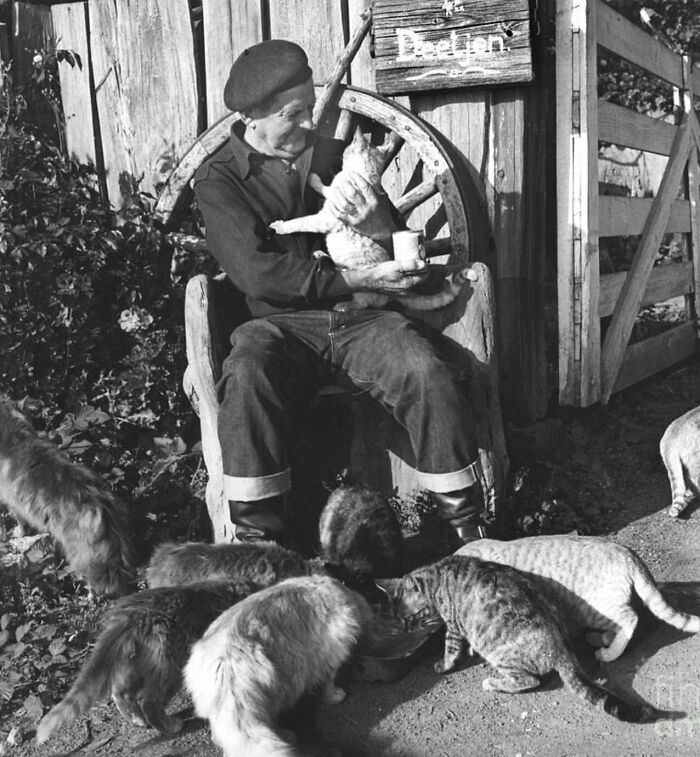 New Of The Best Photos Shared By This Twitter Account That Collects Historic Photographs Of Cats With Their Stories