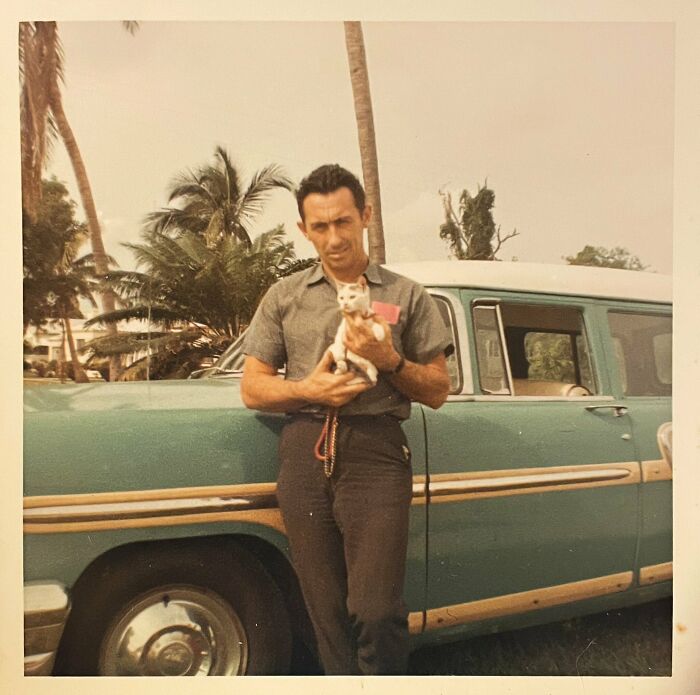 New Of The Best Photos Shared By This Twitter Account That Collects Historic Photographs Of Cats With Their Stories