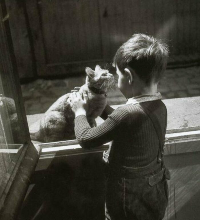 New Of The Best Photos Shared By This Twitter Account That Collects Historic Photographs Of Cats With Their Stories