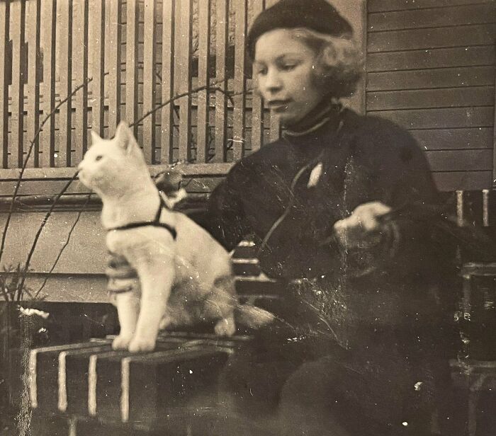 New Of The Best Photos Shared By This Twitter Account That Collects Historic Photographs Of Cats With Their Stories
