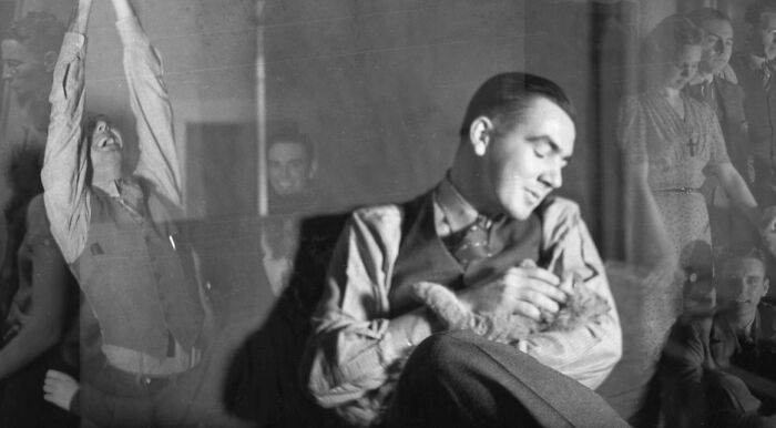 New Of The Best Photos Shared By This Twitter Account That Collects Historic Photographs Of Cats With Their Stories