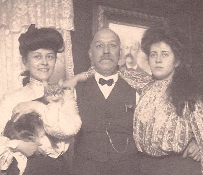 New Of The Best Photos Shared By This Twitter Account That Collects Historic Photographs Of Cats With Their Stories