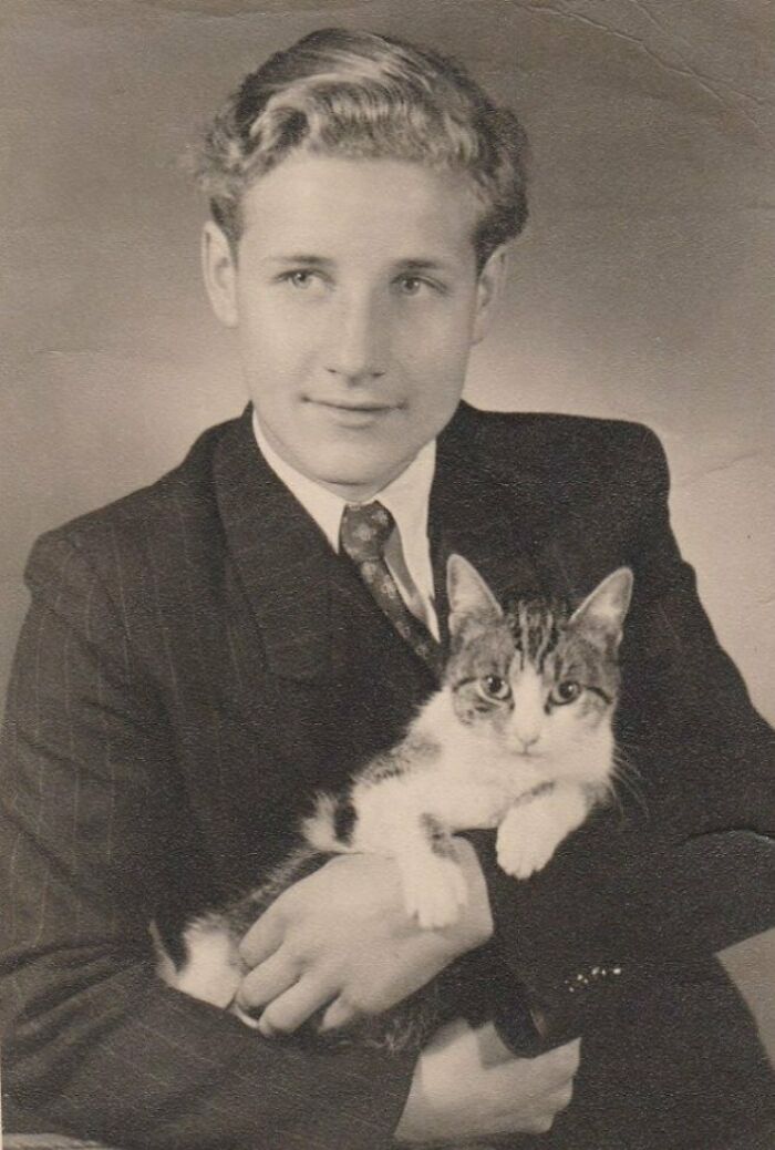 New Of The Best Photos Shared By This Twitter Account That Collects Historic Photographs Of Cats With Their Stories