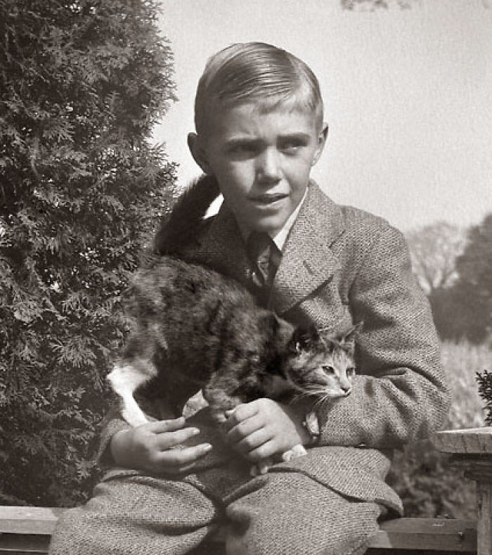 New Of The Best Photos Shared By This Twitter Account That Collects Historic Photographs Of Cats With Their Stories