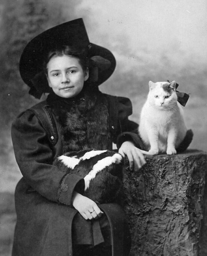 New Of The Best Photos Shared By This Twitter Account That Collects Historic Photographs Of Cats With Their Stories