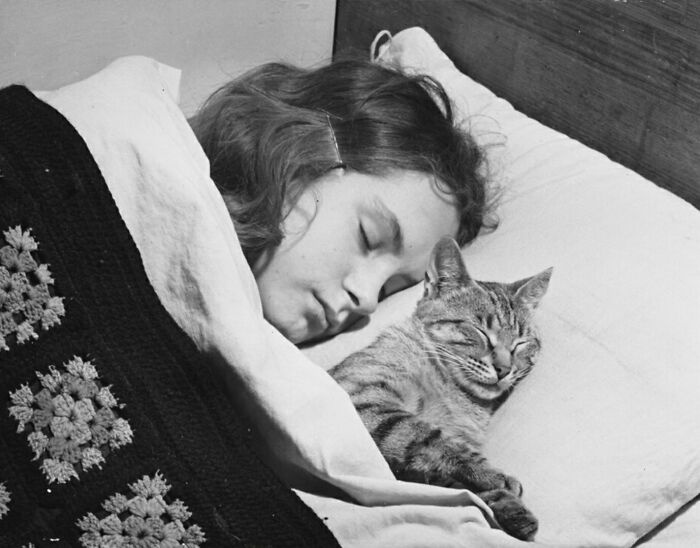 New Of The Best Photos Shared By This Twitter Account That Collects Historic Photographs Of Cats With Their Stories
