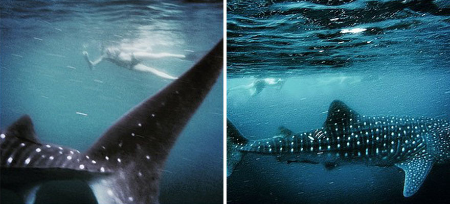 Western Australia, Ningaloo Shark Bay, April 17, 2015