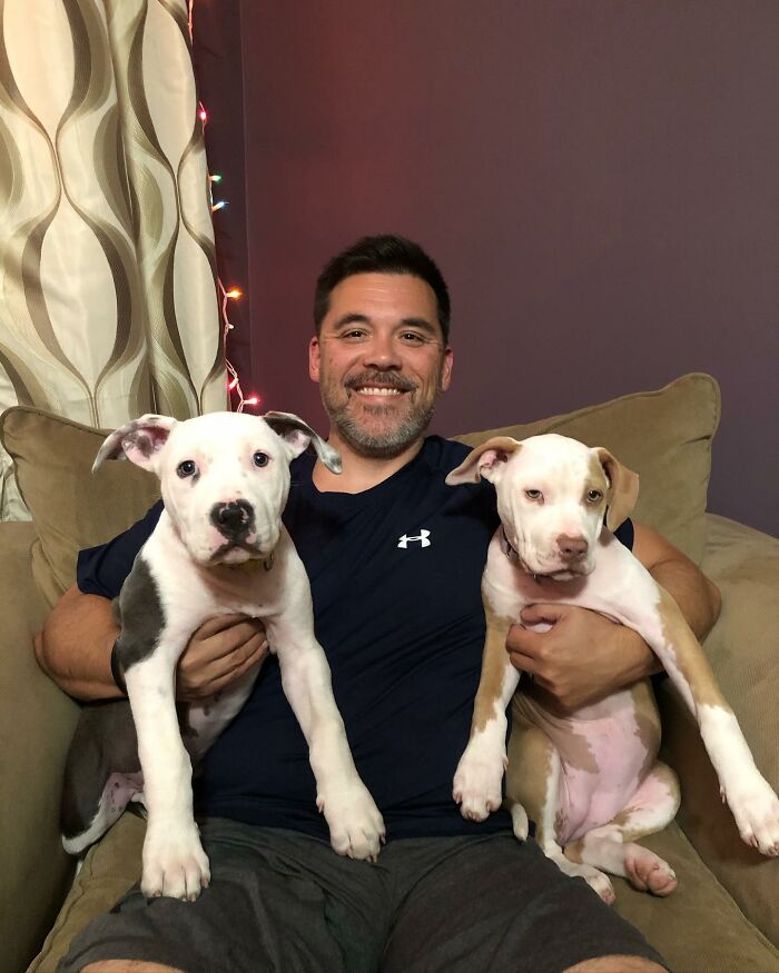 Pit Bull&rsquo;s Adorable Naptime Ritual That Started At 3 Weeks Old Continues To This Day