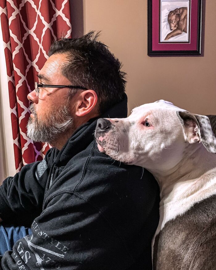 Pit Bull&rsquo;s Adorable Naptime Ritual That Started At 3 Weeks Old Continues To This Day