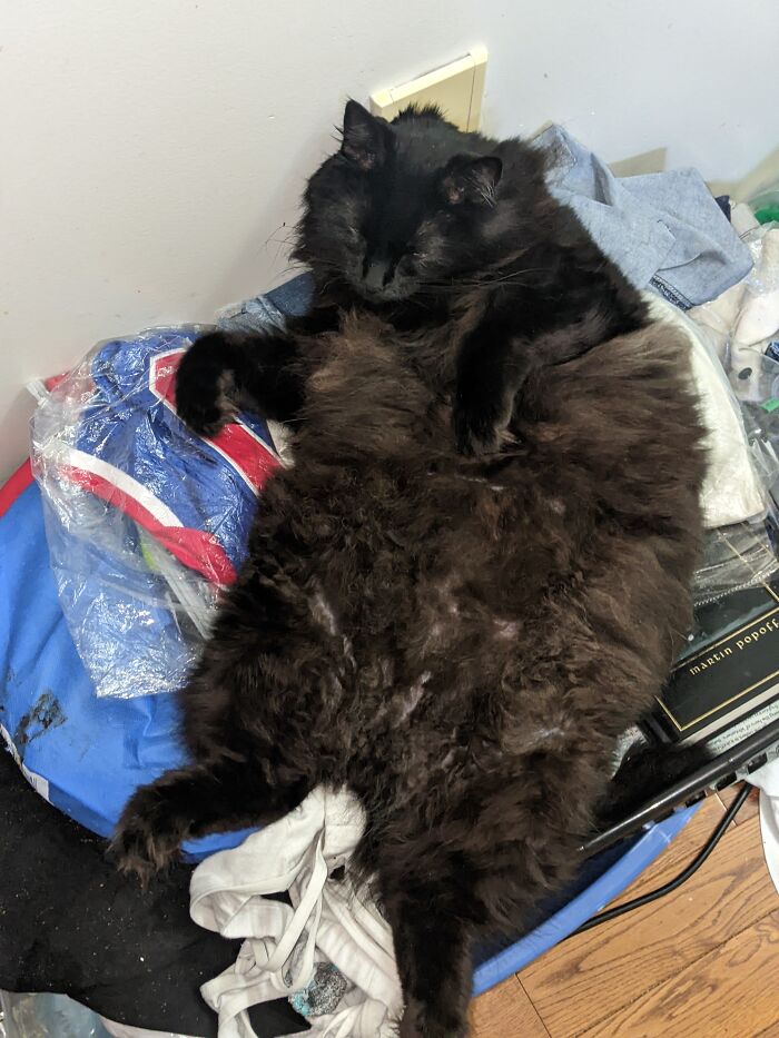 Our Little Man Shadow