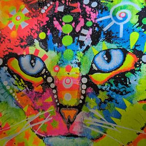 leslieshifletshakey avatar